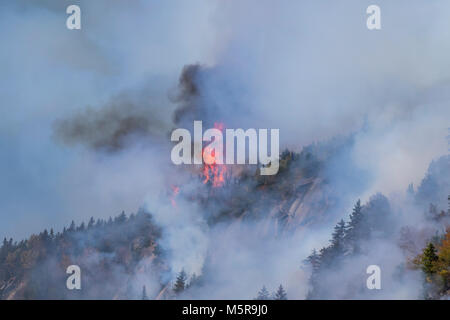 Löser Kerbe Waldbrand, North Woodstock, New Hampshire Stockfoto