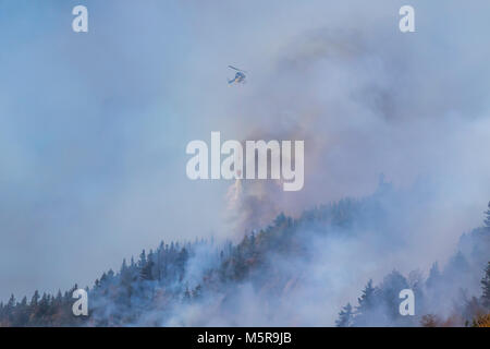 Löser Kerbe Waldbrand, North Woodstock, New Hampshire Stockfoto