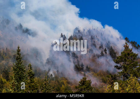 Löser Kerbe Waldbrand, North Woodstock, New Hampshire Stockfoto