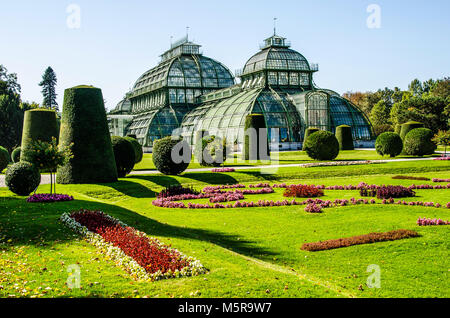 Das Palmenhaus in Schönbrunn Gardens ist einer der letzten seiner Art; ein Riese aus Stahl und Glas über 110 m lang. Stockfoto