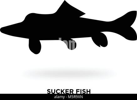 Sucker fisch Silhouette Stock Vektor