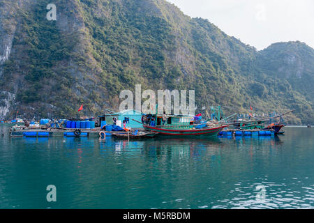 Traditionelle squid Fischerboot mit hellen Lichtern an der Cua Van schwimmenden Dorf, Halong Bay, Vietnam Stockfoto