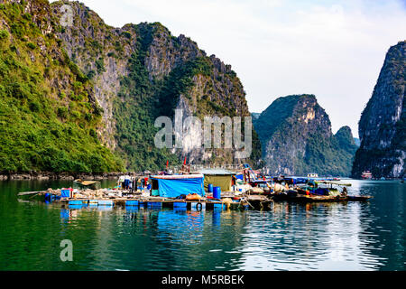 Provisorischer Häuser auf schwimmenden Plattformen an der Cua Van schwimmenden Dorf, Halong Bay, Vietnam Stockfoto