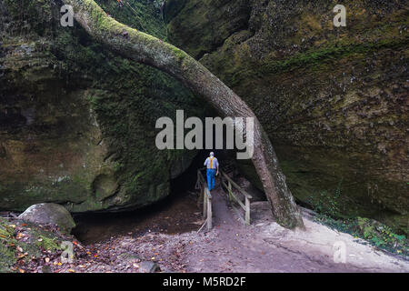 Ein Mann Wandern am Dismals Canyon in Franklin County, Alabama. Stockfoto