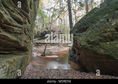 Wanderweg am Dismals Canyon in Franklin County, Alabama. Stockfoto