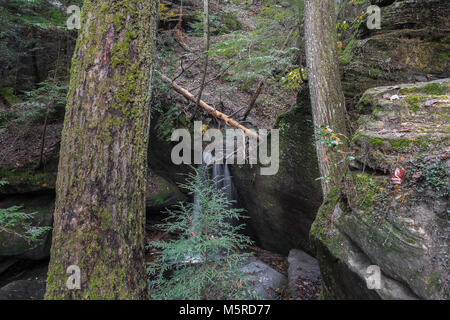 Natürliche Wasserfälle bei Dismals Canyon in Franklin County, Alabama. Stockfoto