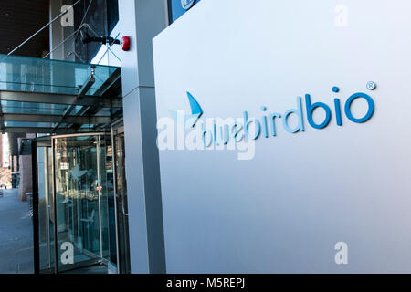 Ein logo Zeichen außerhalb des Hauptsitzes der Bluebird Bio in Cambridge, Massachusetts am 21. Februar 2018. Stockfoto