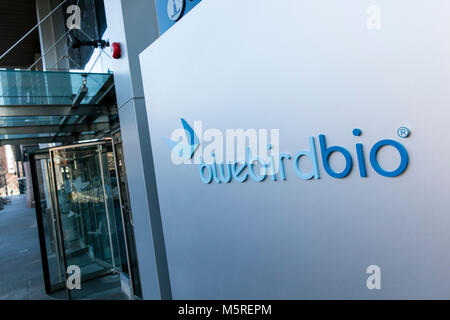 Ein logo Zeichen außerhalb des Hauptsitzes der Bluebird Bio in Cambridge, Massachusetts am 21. Februar 2018. Stockfoto