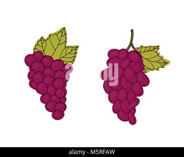 Gruppe roter Trauben. Beeren Vektor-Illustration. Diätetische Lebensmittel Stock Vektor