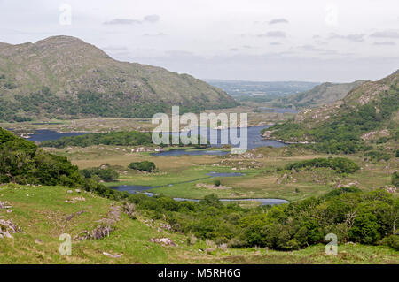 Meine Damen anzeigen Suche in der Nähe von Derrycunihy Holz mit Blick auf den oberen See und darüber hinaus in den Killarney National Park, innerhalb der Kerry Ring in der Grafschaft Kerry, Sou Stockfoto