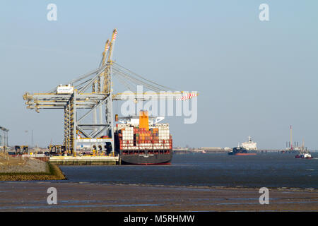 Ein großes Containerschiff der Cuayaquil Express am DP World London Gateway Deep-sea Container Terminal. Stockfoto