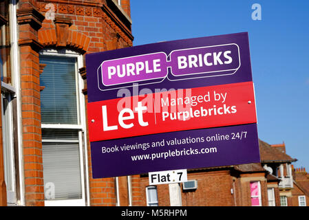 lila Ziegel online-Immobilienmakler Zeichen, Norfolk, england Stockfoto