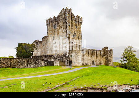 Historische Burg Ross am Rande von Lough Leane, im Nationalpark Killarney, County Kerry, Irland Stockfoto