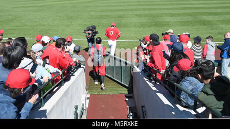 In Tempe, Arizona, USA. 24 Feb, 2018. Shohei Ohtani (Engel) MLB: Shohei Ohtani der Los Angeles Engel geht auf das Feld vor einem Spring Training Baseball Spiel gegen die Milwaukee Brewers bei Tempe Diablo Stadion in Tempe, Arizona, United States. Quelle: LBA/Alamy leben Nachrichten Stockfoto