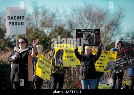 Anti-Greyhound racing Demonstranten und pro-Racing - Demo, Henlow Greyhound Stadium, Betten. Stockfoto