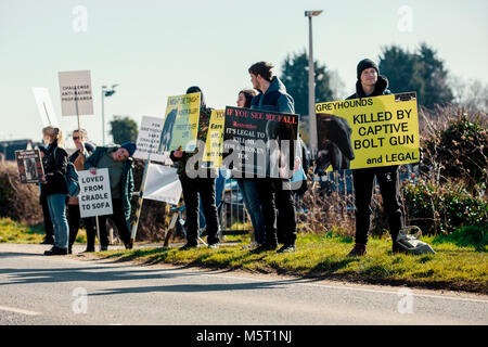 Anti-Greyhound racing Demonstranten und pro-Racing - Demo, Henlow Greyhound Stadium, Betten. Stockfoto