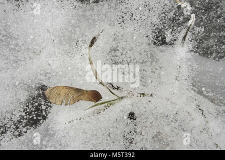 Posen, Großpolen, Polen. 26 Feb, 2018. In den letzten Tagen Polen erlitt den größten Frost in diesem Winter. Synoptics warnen vor der nächsten Tage (besonders nachts), die noch kälter werden kann. Für Großpolen, die minimale Temperatur von -15° C bis -13° C erwartet, lokal bis -18 Â°C in der Nacht. Maximale Temperatur tagsüber von -8°C bis -5°C. Die prognostizierten Minimale Temperatur im Land-25° C, -23° C im Nordosten und im Karpatischen Becken in der nächsten Nacht. Credit: Dawid Tatarkiewicz/ZUMA Draht/Alamy leben Nachrichten Stockfoto