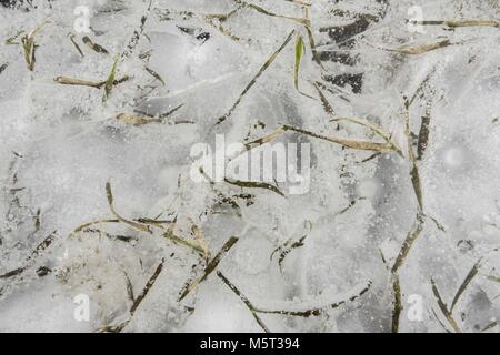 Posen, Großpolen, Polen. 26 Feb, 2018. In den letzten Tagen Polen erlitt den größten Frost in diesem Winter. Synoptics warnen vor der nächsten Tage (besonders nachts), die noch kälter werden kann. Für Großpolen, die minimale Temperatur von -15° C bis -13° C erwartet, lokal bis -18 Â°C in der Nacht. Maximale Temperatur tagsüber von -8°C bis -5°C. Die prognostizierten Minimale Temperatur im Land-25° C, -23° C im Nordosten und im Karpatischen Becken in der nächsten Nacht. Credit: Dawid Tatarkiewicz/ZUMA Draht/Alamy leben Nachrichten Stockfoto