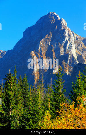 Polen, Tatra, Zakopane - Giewont Peak vom Grzybowiecka Tal gesehen Stockfoto