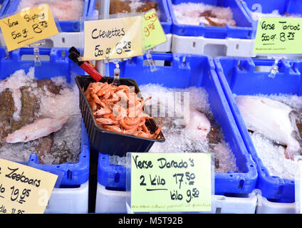 Fischmarkt in einem Supermarkt oder auf einer Straße Marktstand. Verschiedene Fische und Meeresfrüchte in Kartons. Garnelen, Fisch und anderen frischen, rohen Fisch. Stockfoto