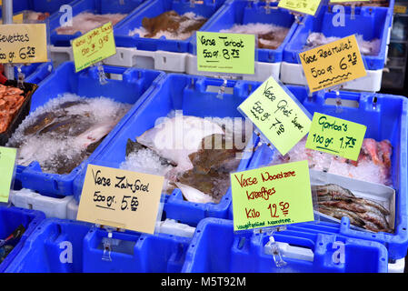 Fischmarkt in einem Supermarkt oder auf einer Straße Marktstand. Verschiedene Fische und Meeresfrüchte in Kartons. Garnelen, Fisch und anderen frischen, rohen Fisch. Stockfoto