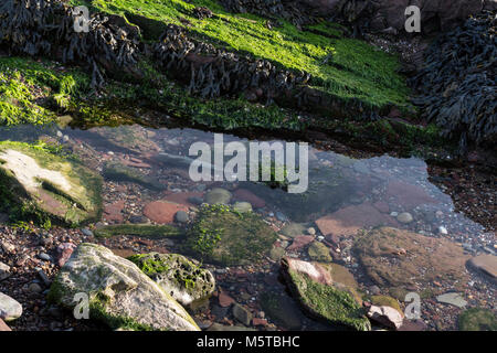 Fels-pools Stockfoto