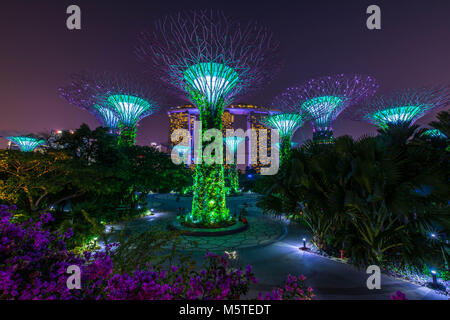 Singapur Supertrees und Skywalk in Gärten an der Bucht Stockfoto