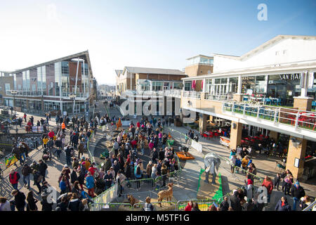 Mermaid Quay in Cardiff Bay, Wales, an einem warmen sonnigen Tag. Stockfoto