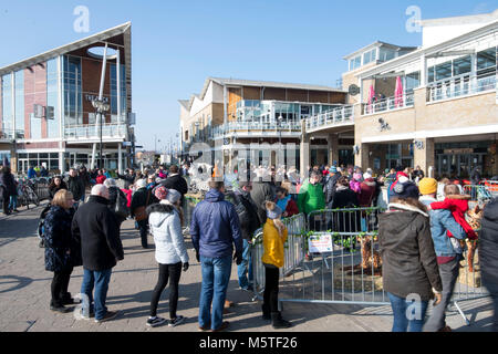 Mermaid Quay in Cardiff Bay, Wales, an einem warmen sonnigen Tag. Stockfoto