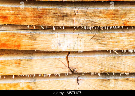 Stapel von Holz Gewürz in der Sonne bereit für den Einsatz in historischen Gebäuden und Projekte. Stockfoto