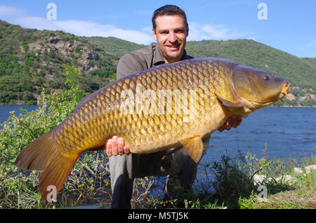 Karpfen angeln. Lucky Fisherman Holding eine riesige Karpfen Stockfoto