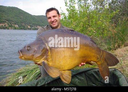 Karpfen angeln. Lucky Fisherman Holding ein riesiger Spiegel Karpfen Stockfoto