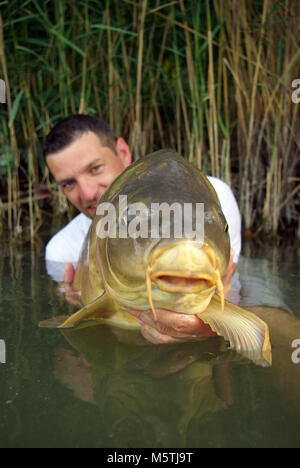 Karpfen angeln. Lucky Fisherman Holding ein riesiger Spiegel Karpfen Stockfoto