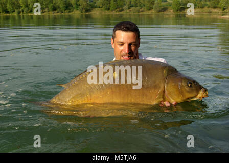 Karpfen angeln. Lucky Fisherman Holding ein riesiger Spiegel Karpfen Stockfoto