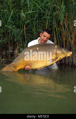 Karpfen angeln. Lucky Fisherman Holding ein riesiger Spiegel Karpfen Stockfoto