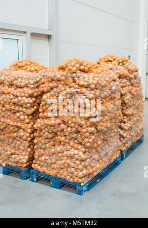 In Beuteln von Zwiebeln auf Paletten sortiert. Stockfoto