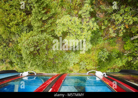 Mit Blick auf einen Wald aus. Stockfoto