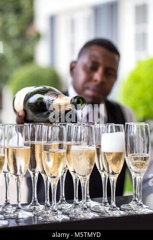 Barkeeper in Gläser gießen Champagner Stockfoto