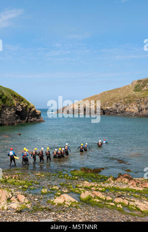 PORT QUIN, CORNWALL, Großbritannien - 13. JUNI 2009: Coasteer tritt ins Wasser Stockfoto