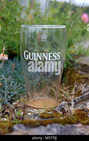 Leere Glas Guinness links außen in einem pub Garten auf einem Sommer Abend in Schottland Stockfoto