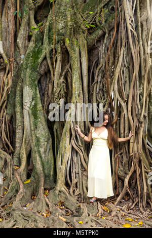 Die Frau in der Nähe eines banyan Stockfoto