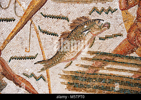 Detail einer Fisch aus einem römischen Mosaik, Fischer aus den Nordafrikanischen römischen Provinz Africanus. Inv 2384, Bardo Museum, Tunis, Tunesien. Stockfoto