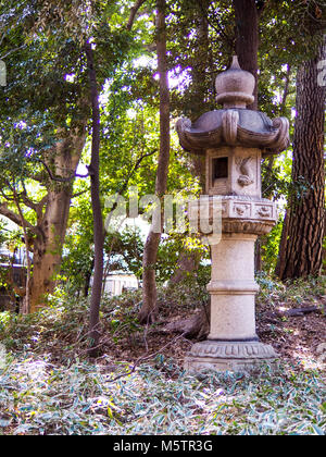 Alte japanische Stein Laterne in unter Bäumen. Stockfoto