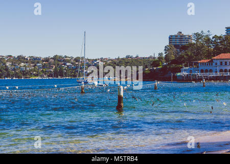 SYDNEY, AUSTRALIEN - 7. Juli 2013: Ansicht der Manly Beach in Sydney Stockfoto