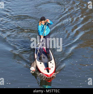 Stand Up Paddle Boarder auf der Themse in England Stockfoto