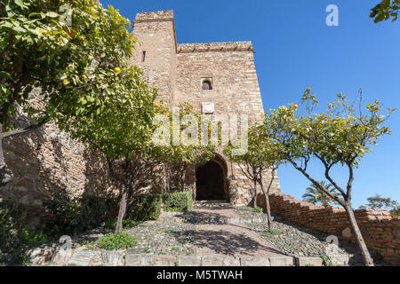 Historisches Monument, La Alcazaba, palastartigen Befestigungsanlage. Malaga, Spanien. Stockfoto