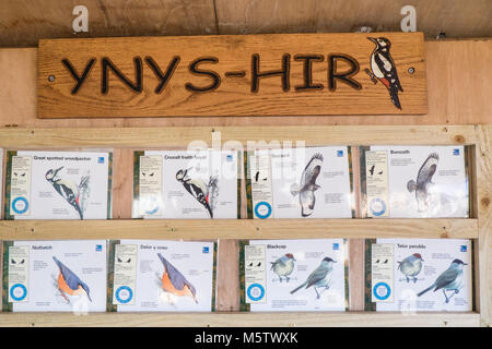 Royal, Gesellschaft, Schutz, der, Vögel, RSPB, Natur, Reserve, Ynys, Hir, Ynys Hir, Ynys-Hir, Ceredigion, in der Nähe der, Aberystwyth, West, Wales, Großbritannien, Großbritannien, Europa, Europäischen, Stockfoto
