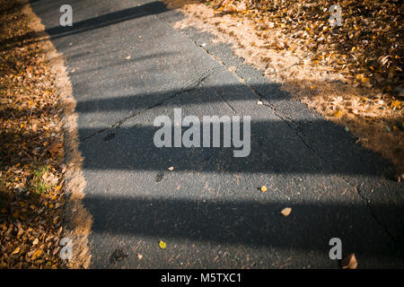 Tag Blick auf Fußgängerüberweg mit Schatten Stockfoto