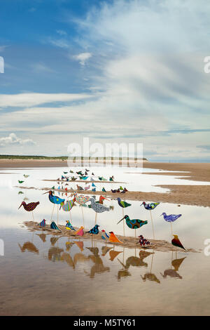 Die Herde auf der Sefton Coast Stockfoto