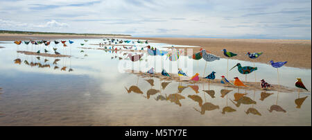 Die Herde auf der Sefton Coast Stockfoto